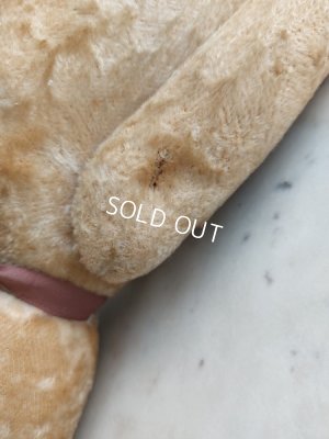 画像18: アンティークJPMテディベア