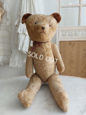 画像2: アンティークJPMテディベア
