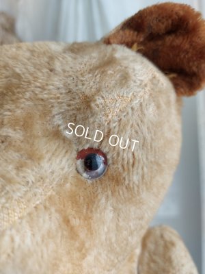 画像10: アンティークJPMテディベア