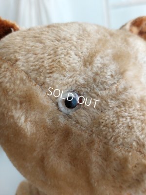 画像9: アンティークJPMテディベア