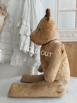 画像4: アンティークJPMテディベア