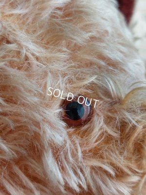 画像6: アンティークフレンチモヘアテディベア