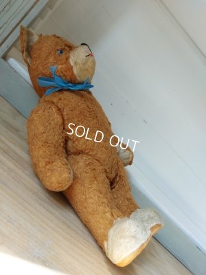 画像14: アンティークテディベア