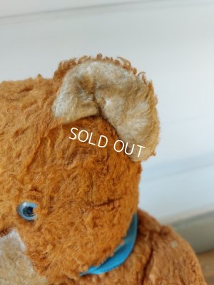 画像5: アンティークテディベア