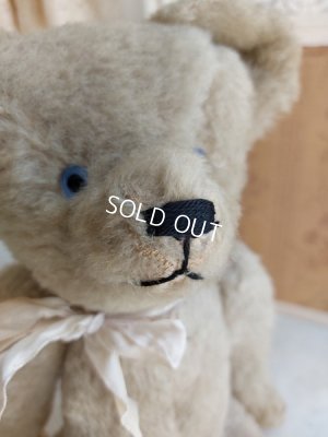 画像3: アンティークテディベア