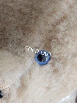 画像4: アンティークテディベア