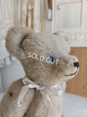 画像5: アンティークテディベア