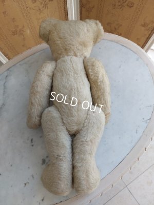 画像7: アンティークテディベア