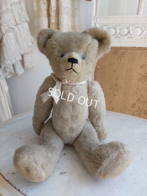 画像18: アンティークテディベア