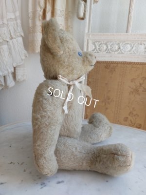 画像6: アンティークテディベア