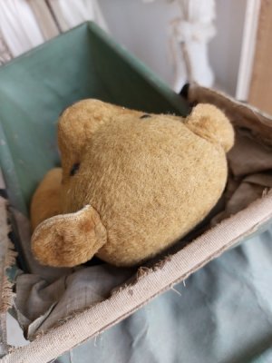 画像9: アンティークテディベア