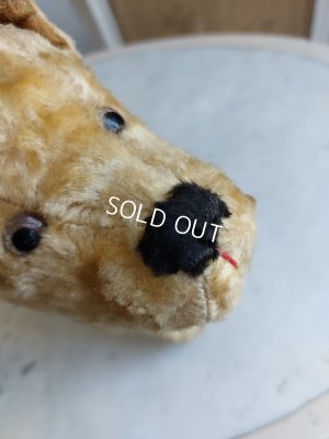 画像7: アンティークフランスの犬