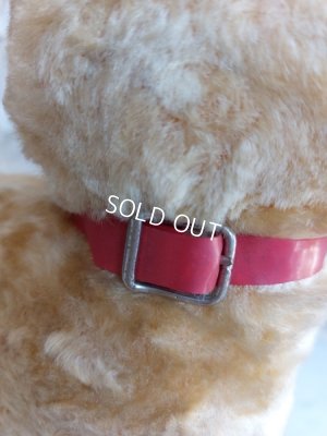 画像4: アンティークフランスの犬