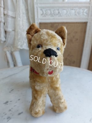 画像5: アンティークフランスの犬