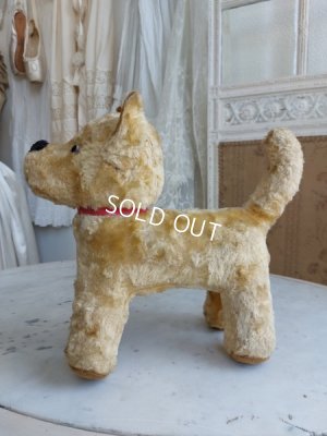 画像12: アンティークフランスの犬