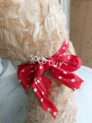 画像6: アンティークテディベア