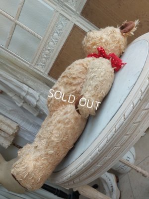 画像11: アンティークテディベア