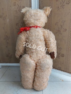 画像13: アンティークテディベア