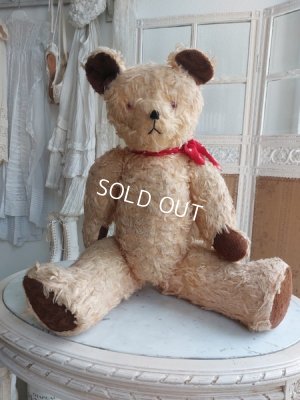 画像15: アンティークテディベア