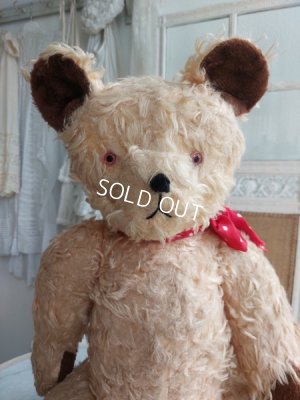 画像2: アンティークテディベア