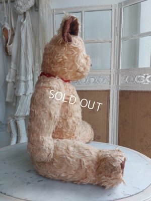 画像17: アンティークテディベア