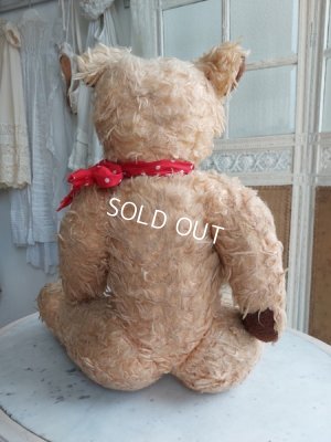 画像18: アンティークテディベア