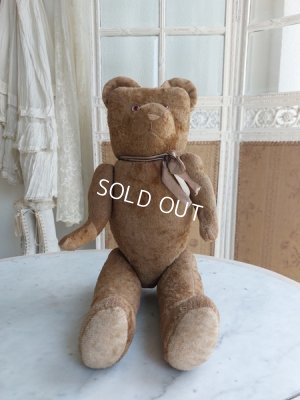 画像13: JPMアンティークテディベア