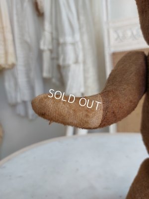 画像15: JPMアンティークテディベア