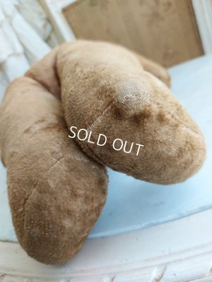 画像13: アンティークテディベア