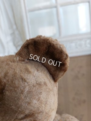 画像15: アンティークテディベア