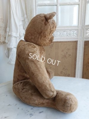 画像6: アンティークテディベア