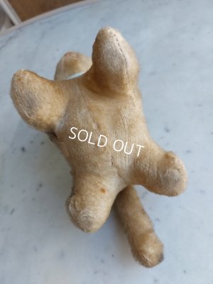 画像4: アンティーク猫