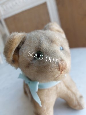 画像6: アンティーク猫