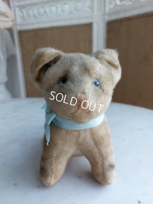 画像8: アンティーク猫