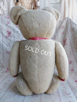 画像4: JPMアンティークテディベア