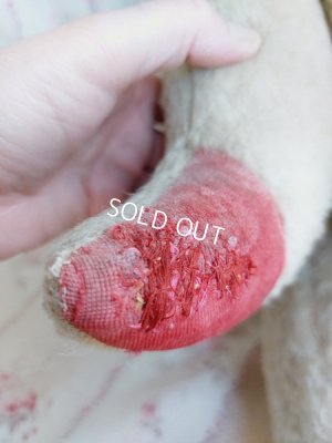 画像18: JPMアンティークテディベア