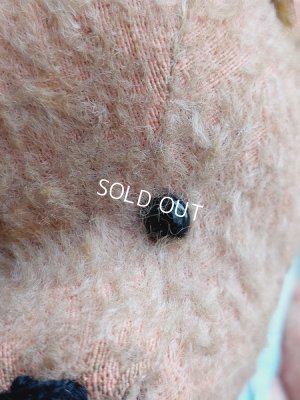 画像5: JPMピンクテディベア