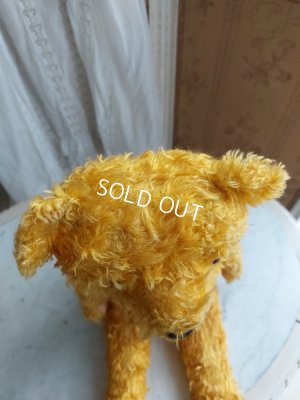 画像11: アンティークテディベア