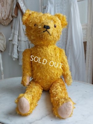 画像13: アンティークテディベア
