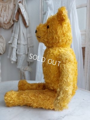 画像16: アンティークテディベア