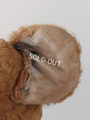 画像4: アンティークJPMテディベア