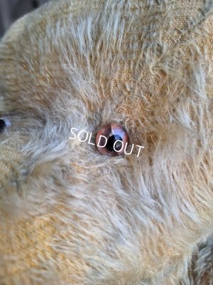 画像22: アンティークJPMテディベア