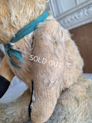 画像13: アンティークJPMテディベア