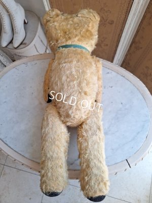 画像12: アンティークJPMテディベア