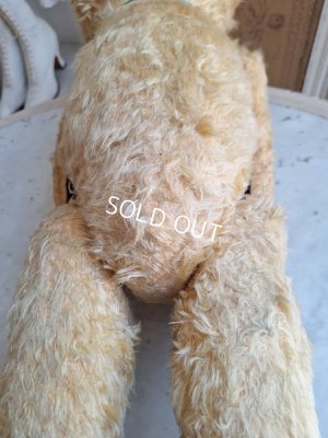 画像11: アンティークJPMテディベア