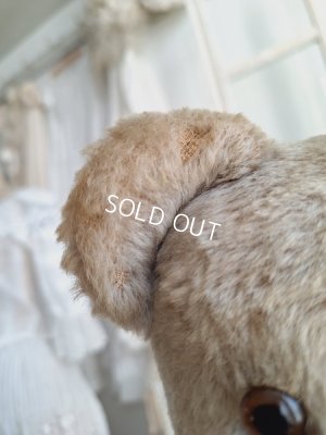 画像5: アンティークテディベア