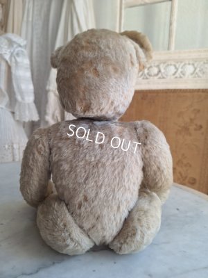 画像10: アンティークテディベア
