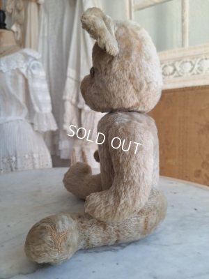 画像11: アンティークテディベア