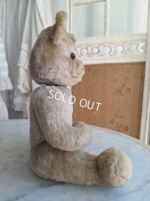 画像12: アンティークテディベア