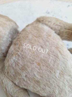 画像15: アンティークテディベア